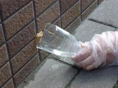 卵塊の駆除方法