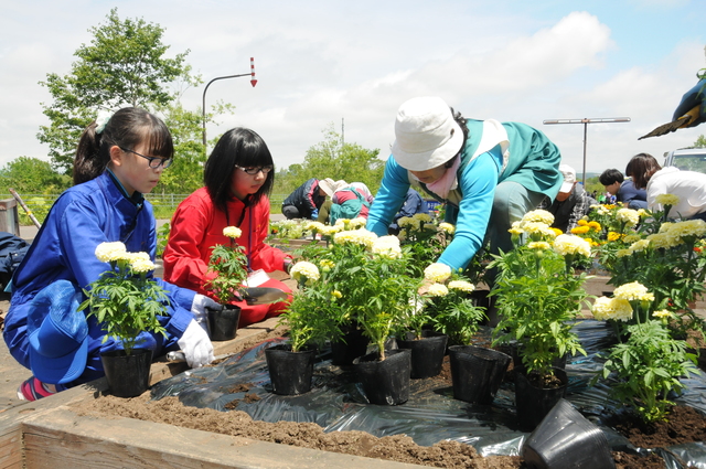 釧路空港線の花植え