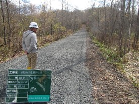 林道１
